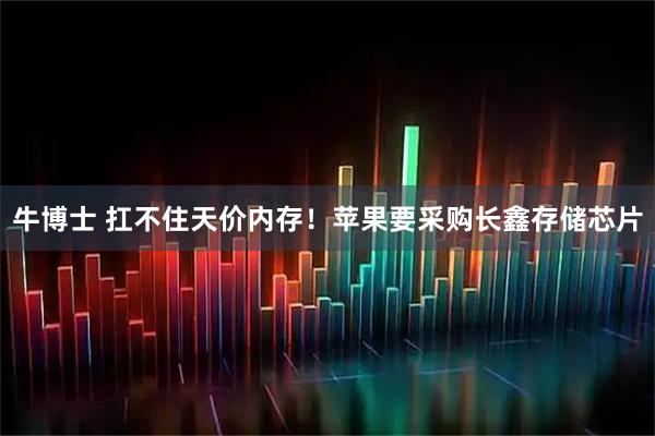 牛博士 扛不住天价内存！苹果要采购长鑫存储芯片