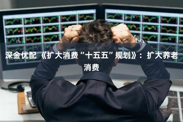 深金优配 《扩大消费“十五五”规划》：扩大养老消费
